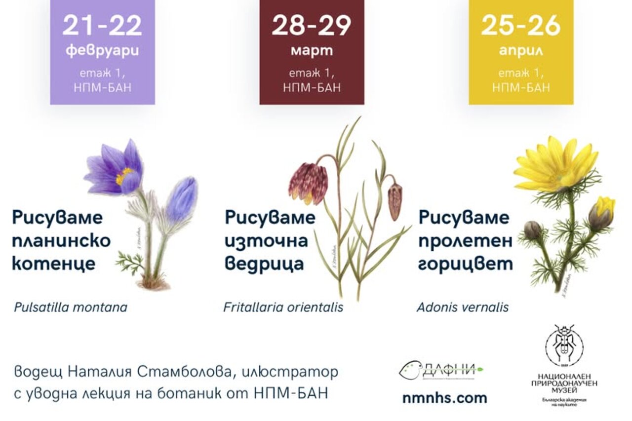 
                    Интервю на Мария Бояджиева