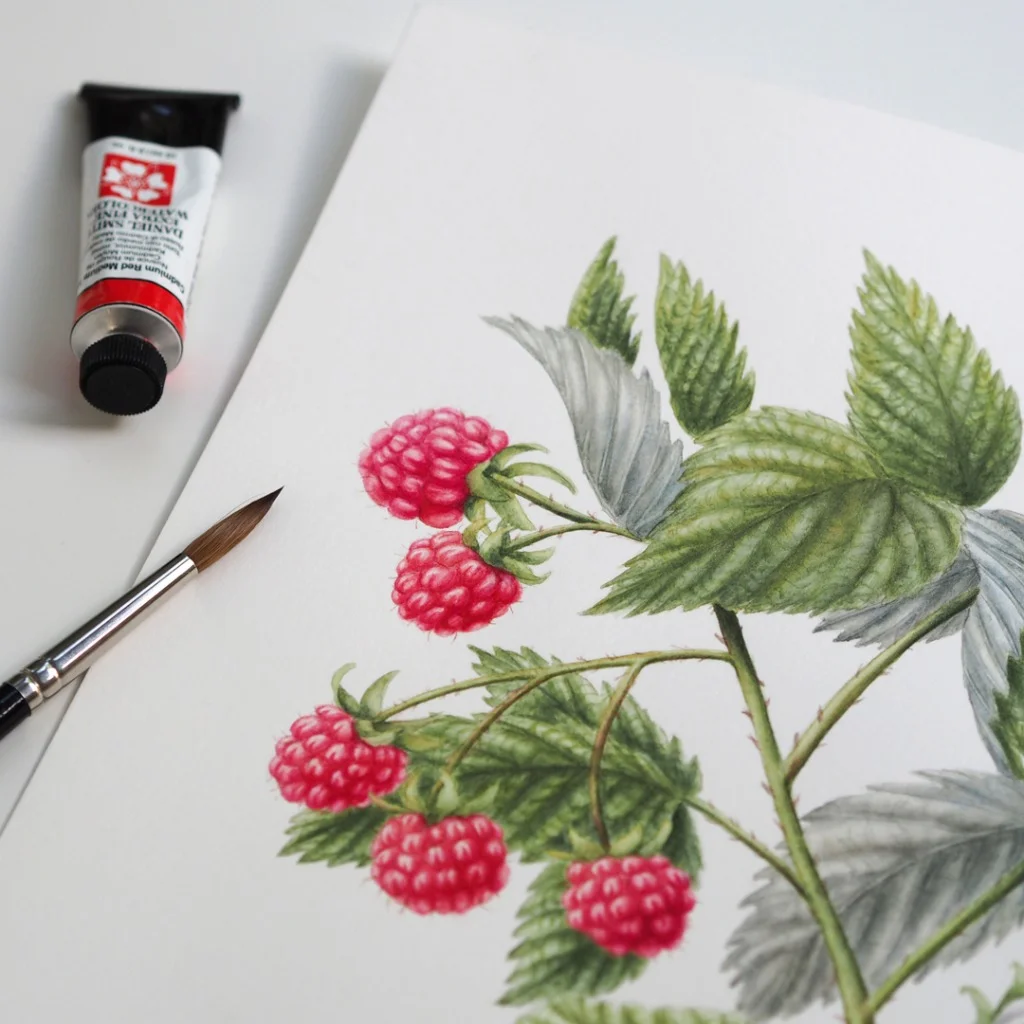 Raspberries